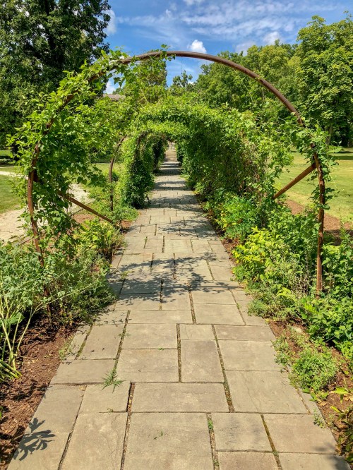 A stone pathway lined with lush greenery and arching vines, leading through a serene garden.