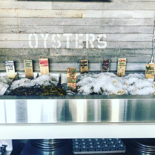 A display of fresh oysters on ice, labeled with wooden signs indicating different varieties.