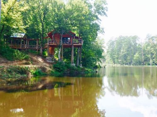A wooden cabin on stilts by a calm lake, surrounded by lush green trees and reflecting in the water.