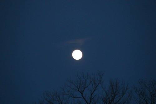 A bright full moon shines in a dark blue sky, partially obscured by wispy clouds, with silhouetted tree branches below.