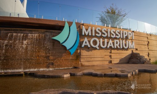 Signage of the Mississippi Aquarium with a water feature in the foreground and clear blue sky above.