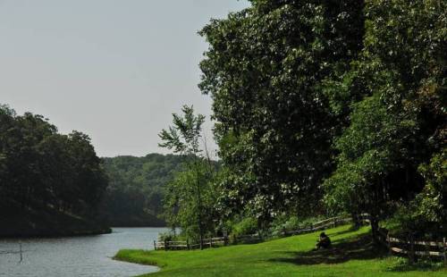 A serene river scene with lush greenery and a person sitting by the water's edge on a sunny day.