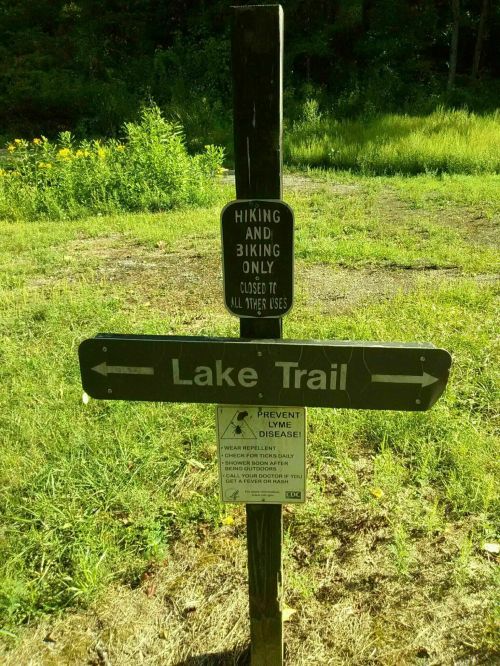 Signpost indicating the Lake Trail, designated for hiking and biking only, with a warning about Lyme disease prevention.