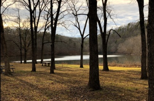 A serene lake surrounded by bare trees, with a picnic area visible on the grassy shore under a cloudy sky.