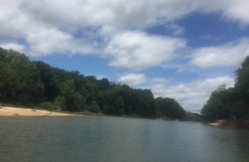 A serene river scene with lush green trees lining the banks under a partly cloudy sky.