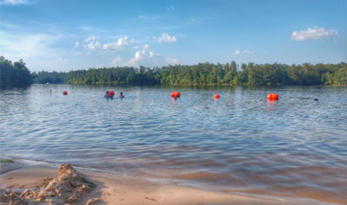 A serene lake scene with orange buoys floating in calm water, surrounded by trees under a blue sky.