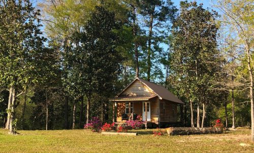 A charming wooden cabin surrounded by lush trees and colorful flowers under a clear blue sky.