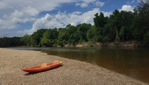A bright orange kayak rests on a sandy riverbank, surrounded by lush green trees and a clear blue sky.