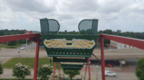 View from a Ferris wheel seat, featuring decorative wings and a blurred background of trees and a road.