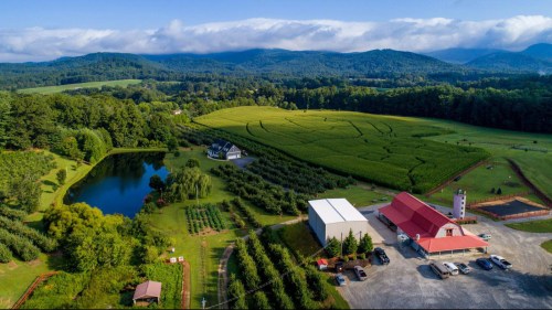 Aerial view of a lush farm with fields, a pond, and mountains in the background under a clear blue sky.