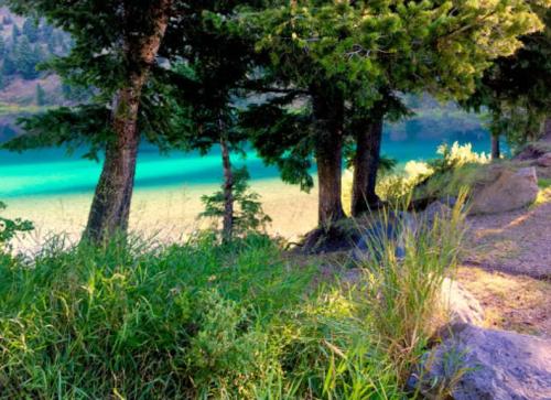 A serene lakeside scene with vibrant turquoise water, surrounded by trees and lush green grass.