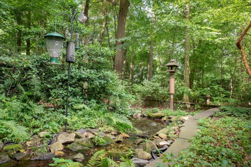 A serene garden scene with a stream, lush greenery, and decorative lanterns surrounded by trees.