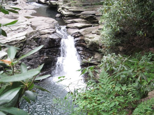 A serene waterfall cascades over rocky ledges into a tranquil pool, surrounded by lush greenery.