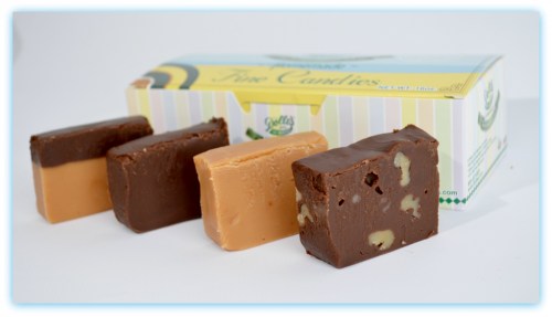 A box of assorted fudge candies, featuring chocolate, caramel, and nut varieties, displayed on a white background.