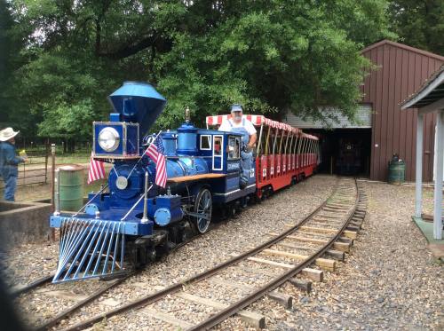 A blue steam train with a red passenger car, driven by a conductor, on a track surrounded by trees and buildings.