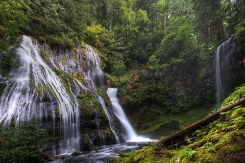 A serene waterfall cascades over moss-covered rocks, surrounded by lush green trees in a tranquil forest setting.