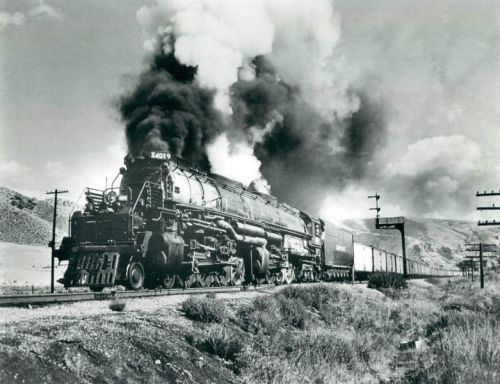 A vintage steam locomotive billows smoke while pulling a freight train along a rural track.