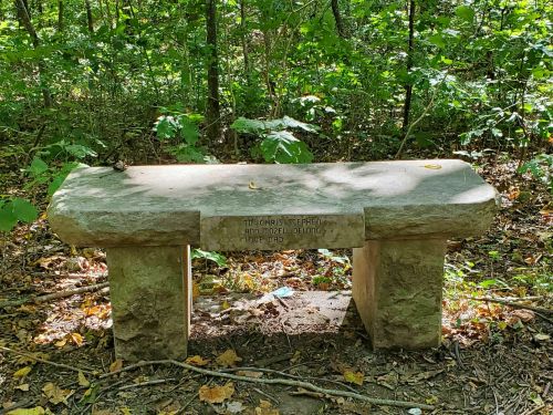 A stone bench in a wooded area, engraved with a dedication, surrounded by green foliage and fallen leaves.