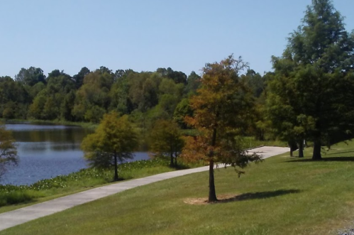 A serene park scene featuring a lake, walking path, and lush green trees under a clear blue sky.
