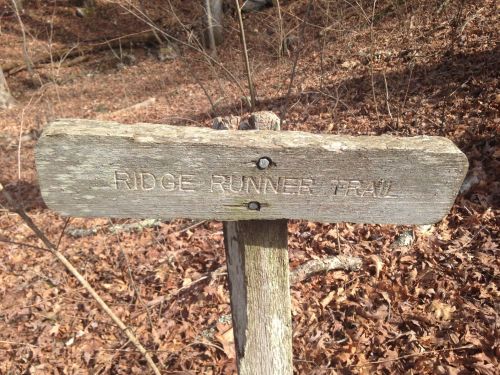 Wooden sign reading "Ridge Runner Trail" in a wooded area with fallen leaves.