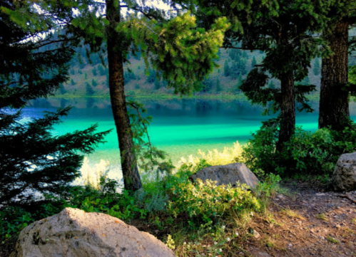 A serene lake surrounded by trees, with vibrant turquoise water and rocky shoreline.