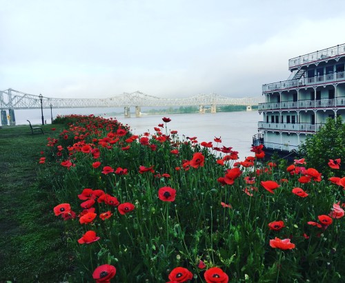 A vibrant field of red poppies along a riverbank, with a bridge and a steamboat in the background under a cloudy sky.