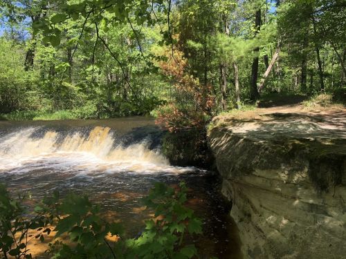 A serene river flows over a small waterfall, surrounded by lush green trees and rocky banks in a peaceful forest setting.