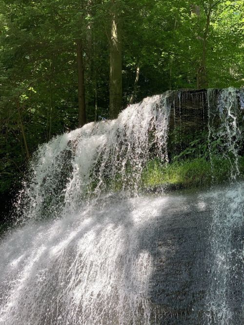 A cascading waterfall flows over a rocky ledge, surrounded by lush green trees and foliage.