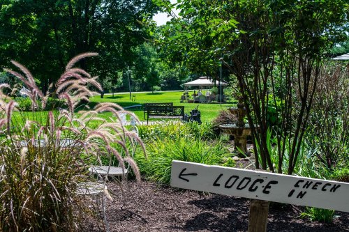 A sunny garden scene with a sign pointing left to "Lodge Check In," surrounded by greenery and seating areas.