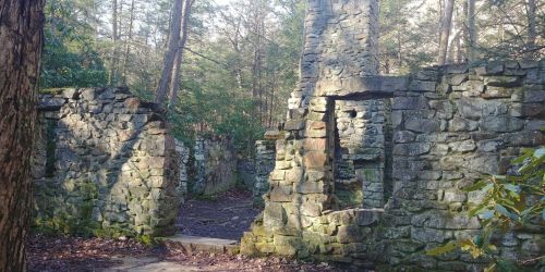 Ruins of a stone structure surrounded by trees and greenery, with sunlight filtering through the forest.