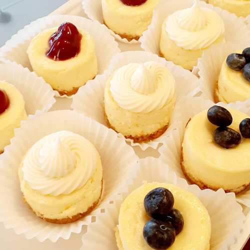 A tray of mini cheesecakes topped with whipped cream, blueberries, and cherry sauce, each in a paper liner.