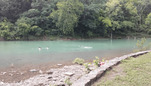 Two people swim in a calm, green river surrounded by lush trees and rocky shoreline.