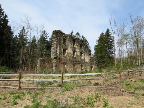 Ruins of a stone building surrounded by trees and a wooden fence, set against a clear blue sky.