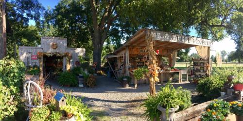 A charming outdoor market with rustic wooden stalls, greenery, and seasonal decorations under a clear blue sky.