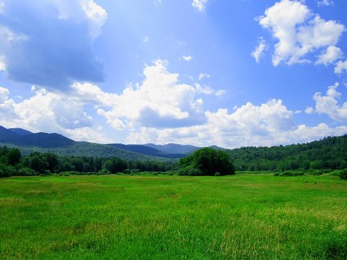 A lush green field under a bright blue sky with fluffy clouds and distant mountains in the background.