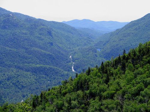 A lush green valley surrounded by mountains, with a winding river flowing through the landscape under a clear sky.