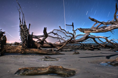 A night scene of a beach with twisted driftwood and star trails in the sky, creating a serene, otherworldly atmosphere.