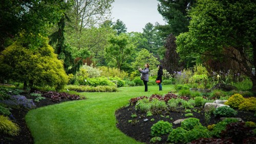 Two people stand in a lush garden, surrounded by vibrant flowers and greenery, enjoying the serene landscape.