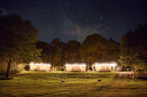 Three illuminated tents under a starry night sky, surrounded by trees and a grassy area.