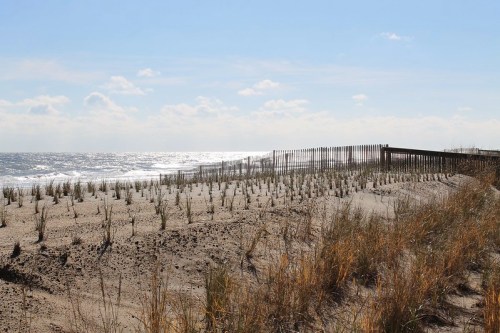 A sandy beach with sparse grass, a wooden fence in the background, and gentle waves under a clear blue sky.