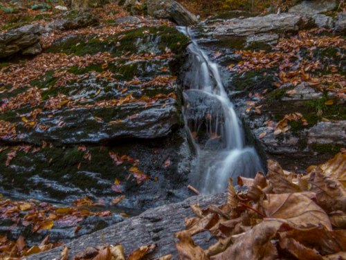A small waterfall cascades over rocky terrain, surrounded by autumn leaves on the ground.