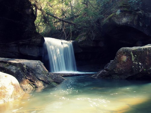 A serene waterfall cascades into a tranquil pool, surrounded by lush greenery and rocky formations.