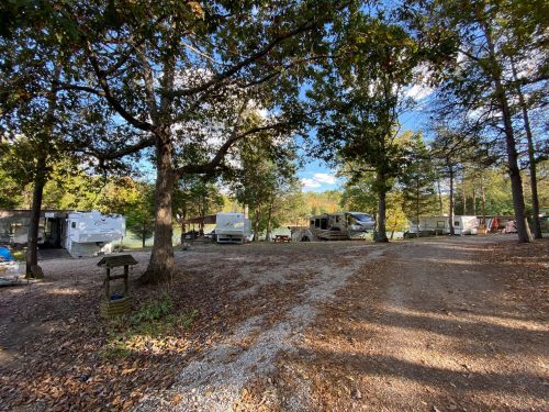 A campsite with several RVs surrounded by trees and a gravel path, under a clear blue sky.