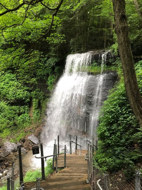 A cascading waterfall surrounded by lush green foliage and a wooden staircase leading down beside it.