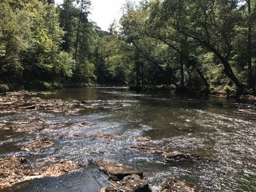 A serene river flows through a lush green forest, with sunlight reflecting off the water and rocks along the shore.