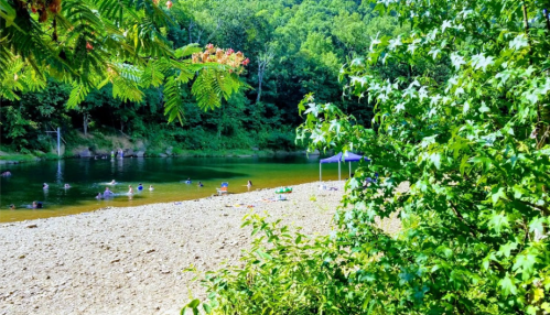 A serene river scene with people swimming, a sandy beach, and green trees surrounding the water.