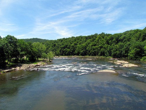 A serene river flows through a lush green landscape under a clear blue sky, with gentle rapids and rocky banks.
