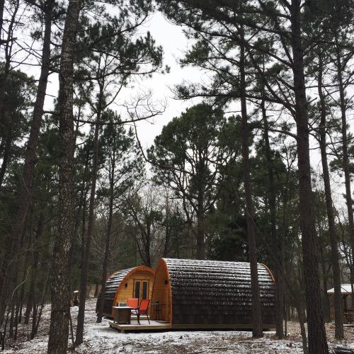 Two wooden cabins nestled among tall pine trees, with a light dusting of snow on the ground and cabin roofs.