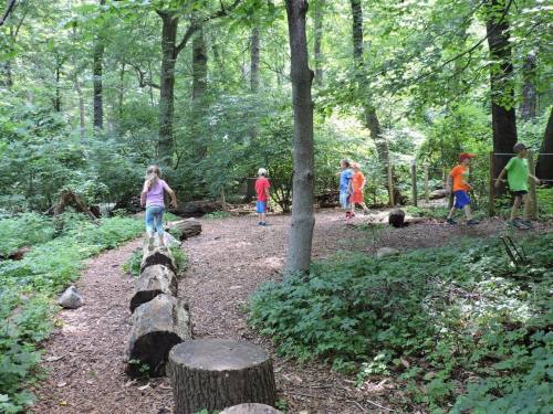 Children play in a wooded area, balancing on logs and exploring the natural surroundings.