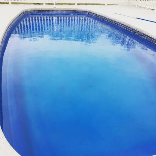 A clear blue swimming pool with a white fence in the background.